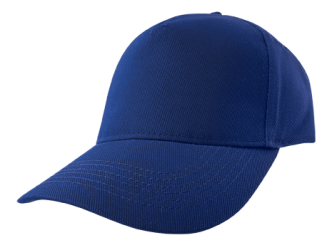 Baseball Cap (Embroidered) Royal